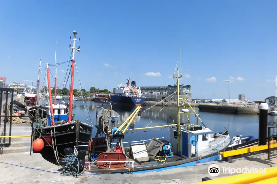 Galway Docks