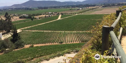 Indomita Casablanca and Maipo Vineyards