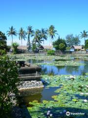 Lotus Lagoon