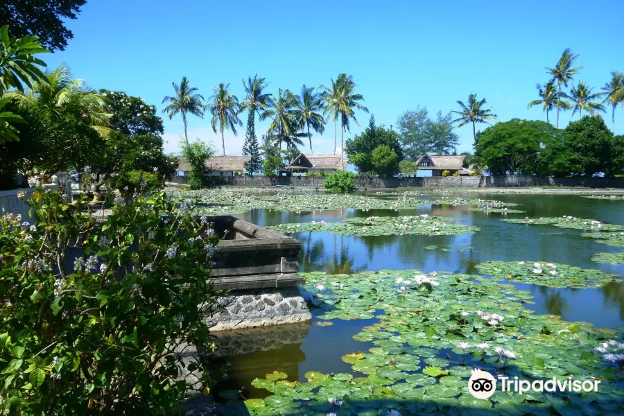 Lotus Lagoon