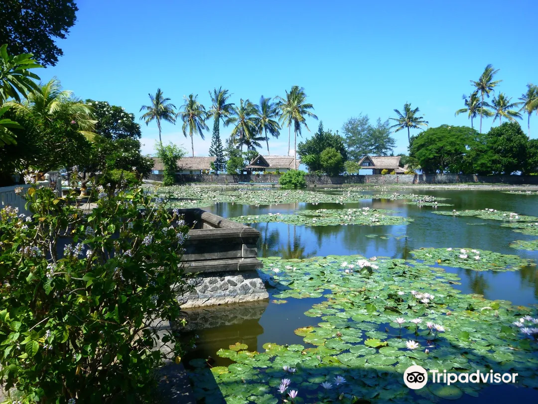 1_Lotus Lagoon