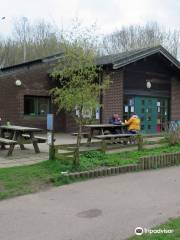 Plessey Woods Country Park