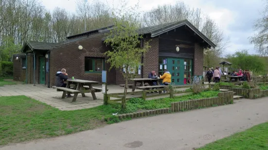 Plessey Woods Country Park