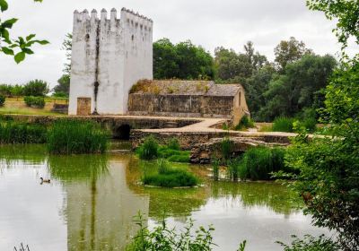 Molino de la Acena