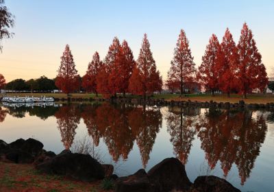 加須はなさき公園