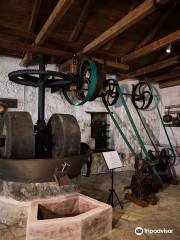 Olive Museum "Fabbrica"