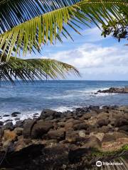 Keokea Beach Park