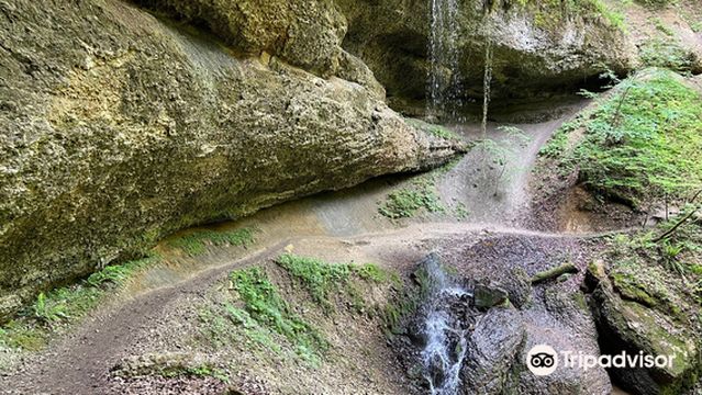 Walderlebnispfad Moeggers