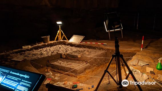 National Museum and Research Center of Altamira