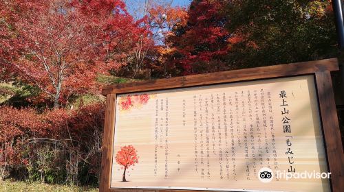 最上山公園もみじ山