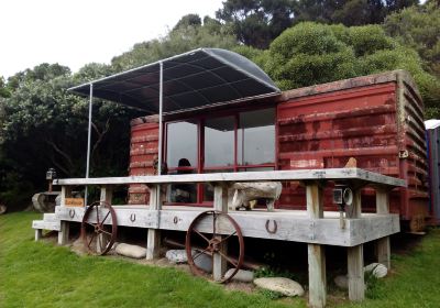 Te Rakau Birding