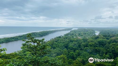 Sendero Cerro Tortuguero