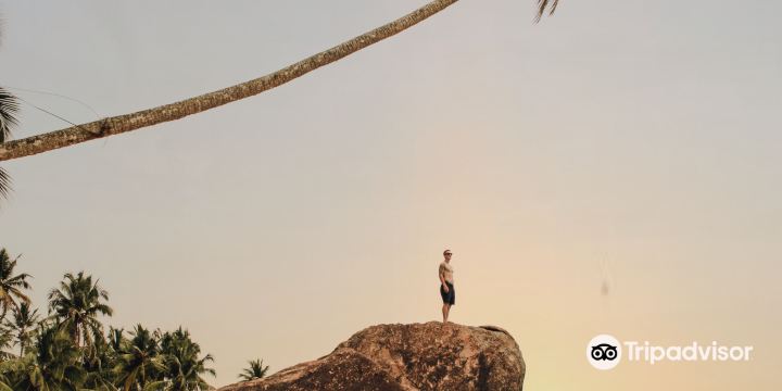 Dalawella Beach