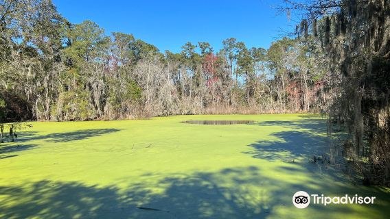Oatland Island Wildlife Center