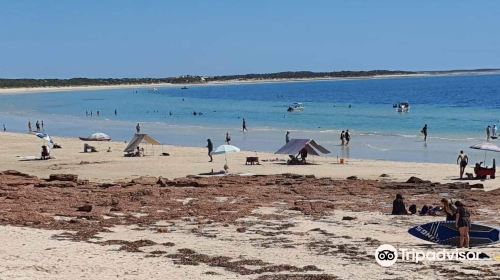 Port Hughes Jetty