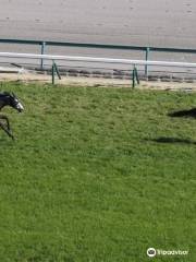 Chukyo Racecourse