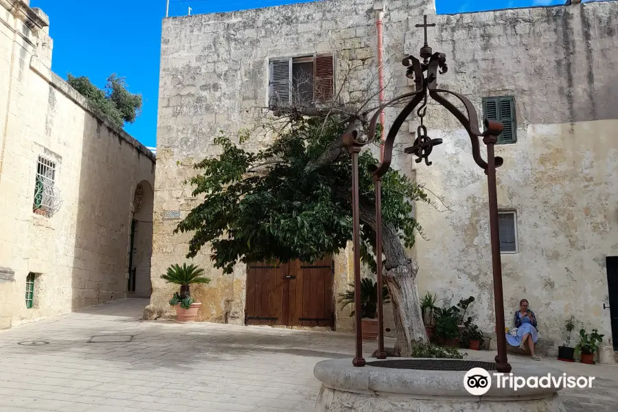 The Mdina Experience