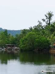 Cherating River