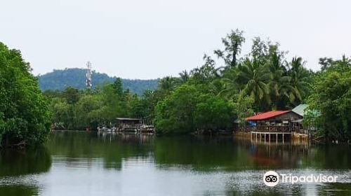 Cherating River