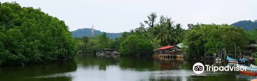 Cherating River