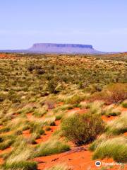 Mount Conner