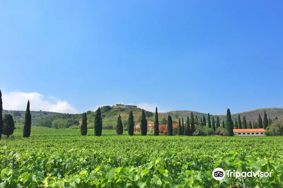 Azienda Agricola Marino