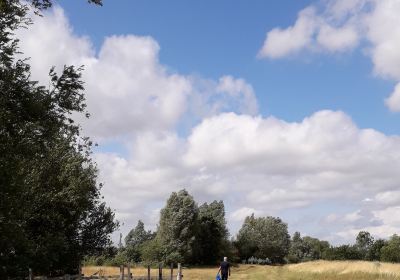 Conningbrook Lakes Country Park