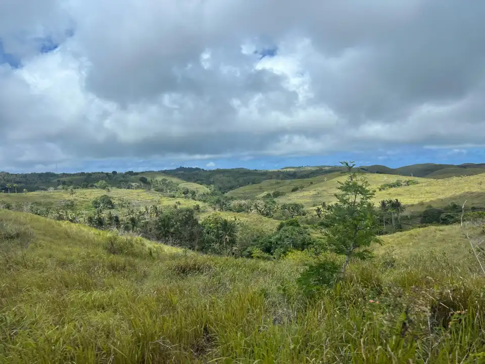 3_Teletubbies Hill