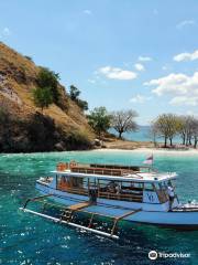 VENUS BOAT KOMODO