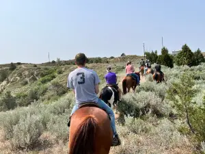 Medora Riding Stables