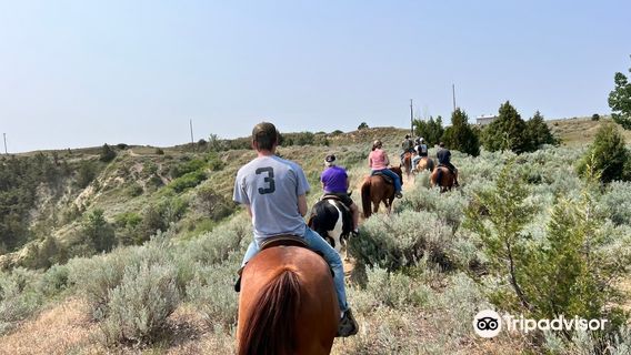 Medora Riding Stables
