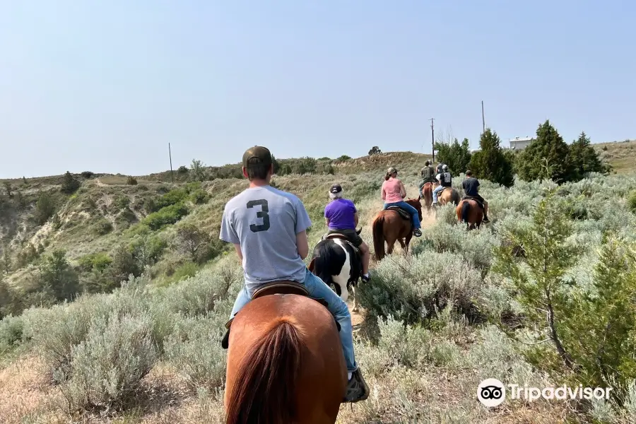 Medora Riding Stables