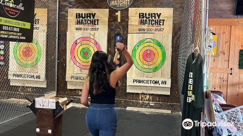 Bury the Hatchet Princeton - Axe Throwing