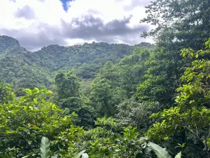 Vermont nature trail and rain forest