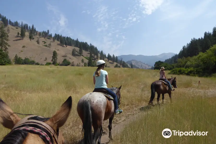 Eagle Creek Ranch Leavenworth WA. Horseback Riding ,Horse rides