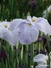 Horikiri Iris Garden