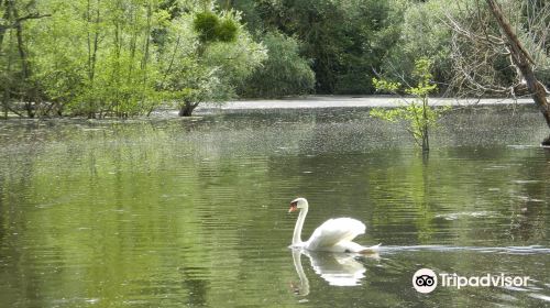 Parc Naturel du Patis