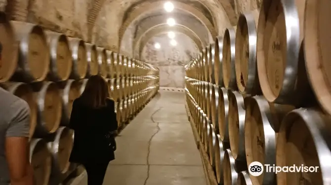 4_Bodegas Protos