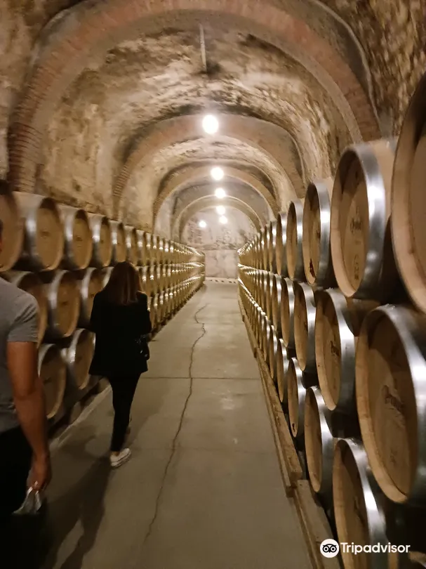 4_Bodegas Protos