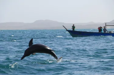 Hormozgan
