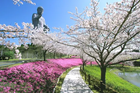 Ushiku Buddha