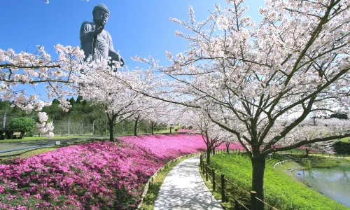 Ushiku Buddha