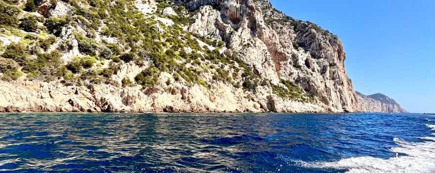 DST Sardegna - Diving & Snorkeling Team