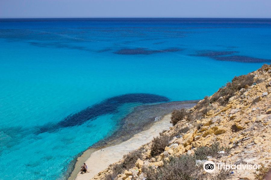 Flüge Larnaca Marsa Matruh