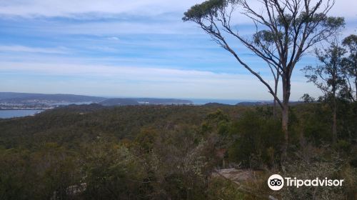 Staples Lookout