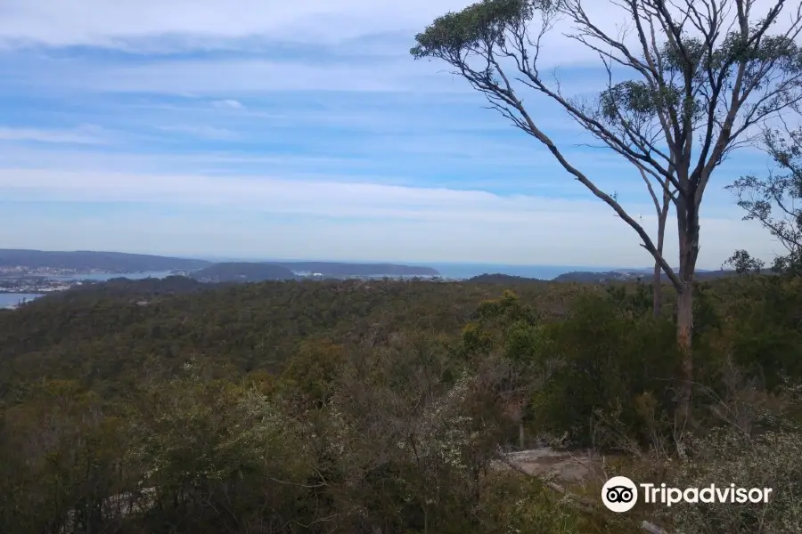 Staples Lookout