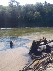 Lafayette Blue Springs State Park