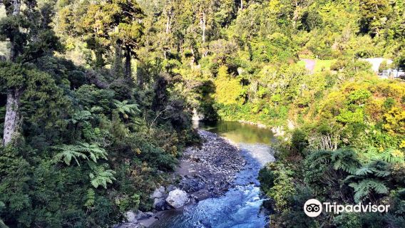 Recorrido por la región vinícola y la costa de Martinborough