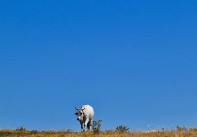 Parco Naturale del Sasso Simone e Simoncello