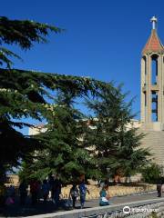 Saint Charbel Tomb